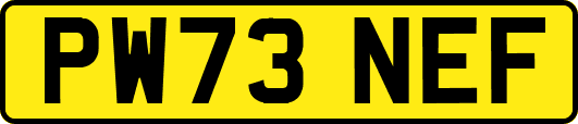 PW73NEF