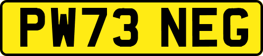 PW73NEG