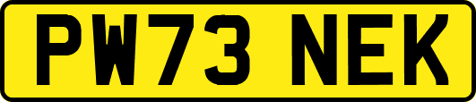 PW73NEK