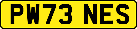 PW73NES