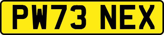 PW73NEX