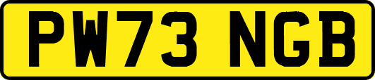 PW73NGB