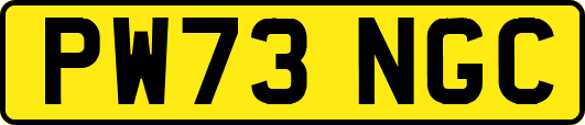 PW73NGC