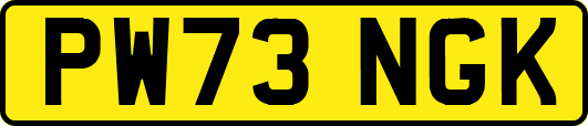PW73NGK
