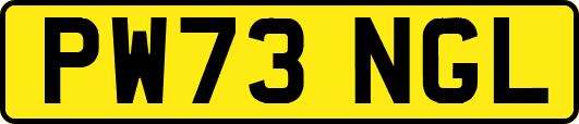 PW73NGL