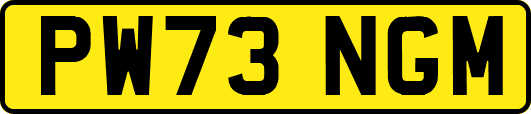 PW73NGM