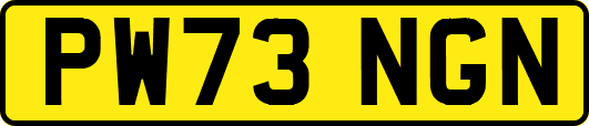 PW73NGN