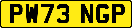 PW73NGP