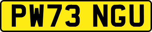 PW73NGU