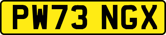 PW73NGX