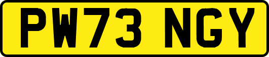 PW73NGY