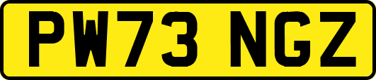 PW73NGZ