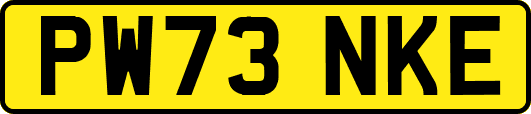 PW73NKE