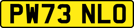 PW73NLO