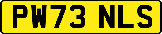 PW73NLS