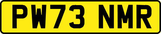 PW73NMR