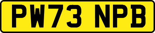 PW73NPB