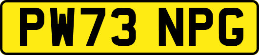PW73NPG