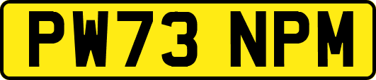 PW73NPM
