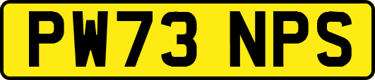 PW73NPS
