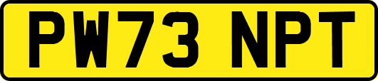 PW73NPT