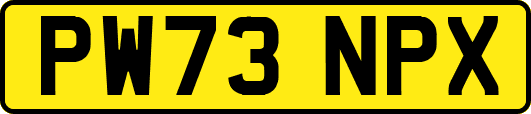 PW73NPX