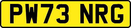 PW73NRG