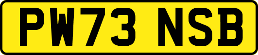 PW73NSB