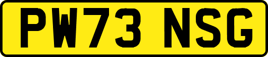 PW73NSG
