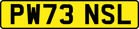 PW73NSL
