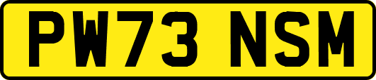 PW73NSM