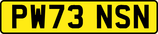 PW73NSN