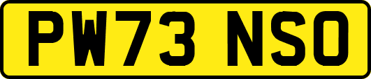 PW73NSO