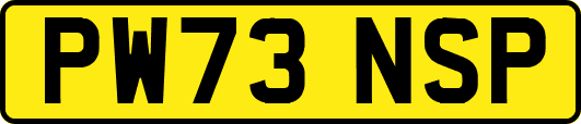 PW73NSP