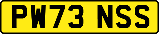 PW73NSS