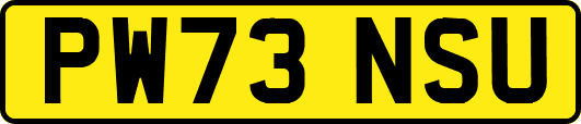PW73NSU