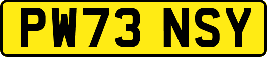 PW73NSY