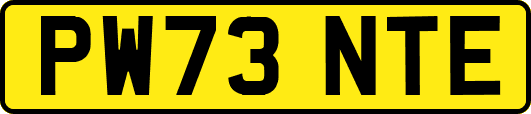 PW73NTE
