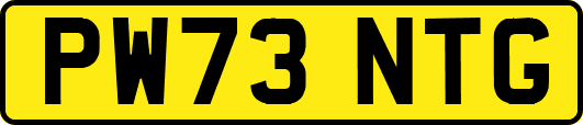 PW73NTG