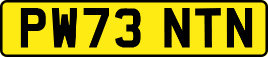 PW73NTN