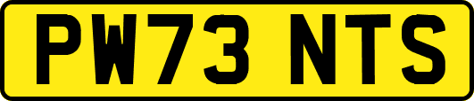 PW73NTS