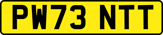 PW73NTT