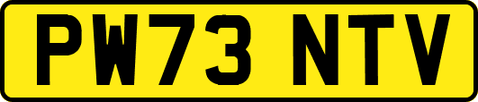 PW73NTV