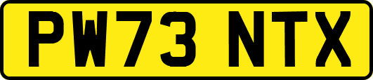 PW73NTX
