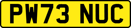 PW73NUC