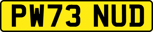 PW73NUD
