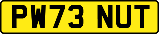 PW73NUT