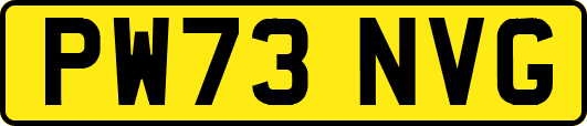 PW73NVG