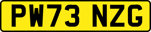 PW73NZG