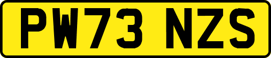 PW73NZS